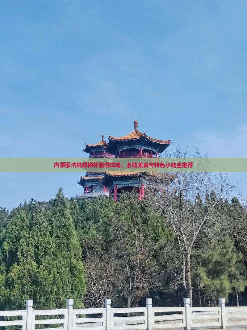 株洲去内蒙额济纳胡杨林旅游小吃