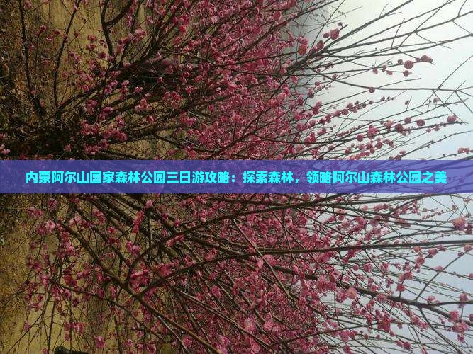 阿泰勒到内蒙阿尔山国家森林公园三日游