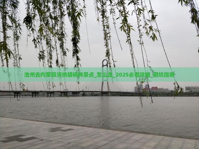 池州去内蒙额济纳胡杨林景点