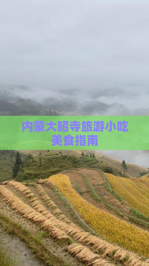 淮北到内蒙大召寺旅游小吃
