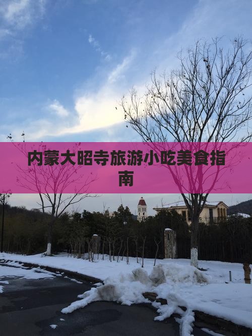 淮北到内蒙大召寺旅游小吃