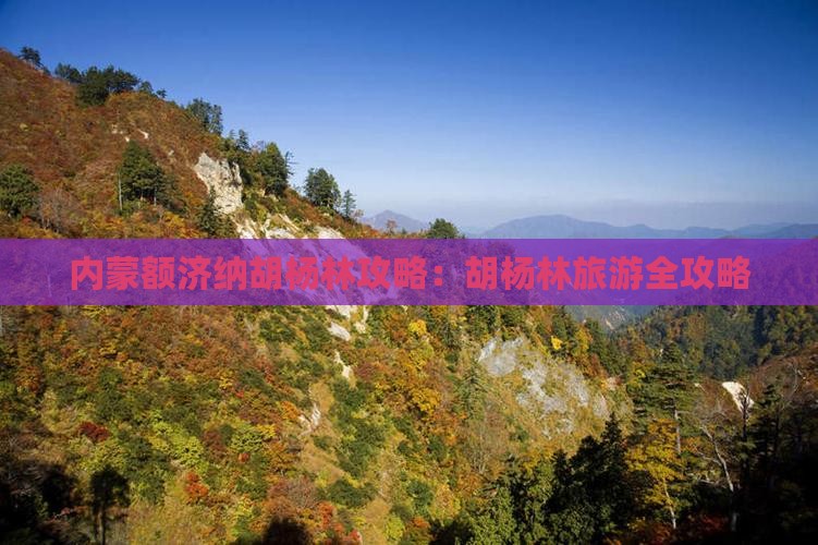 白山去内蒙额济纳胡杨林景点
