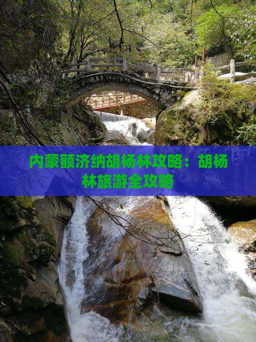 白山去内蒙额济纳胡杨林景点