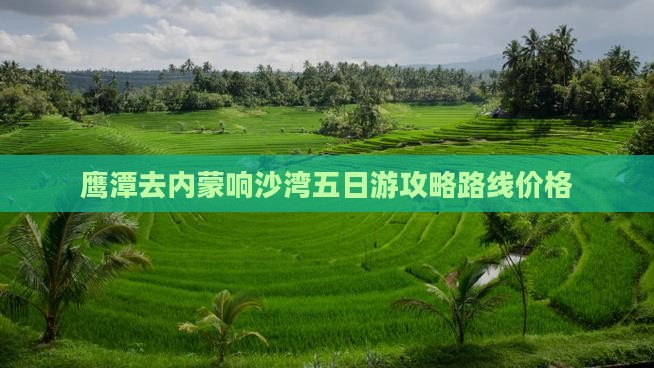 鹰潭去内蒙响沙湾五日游