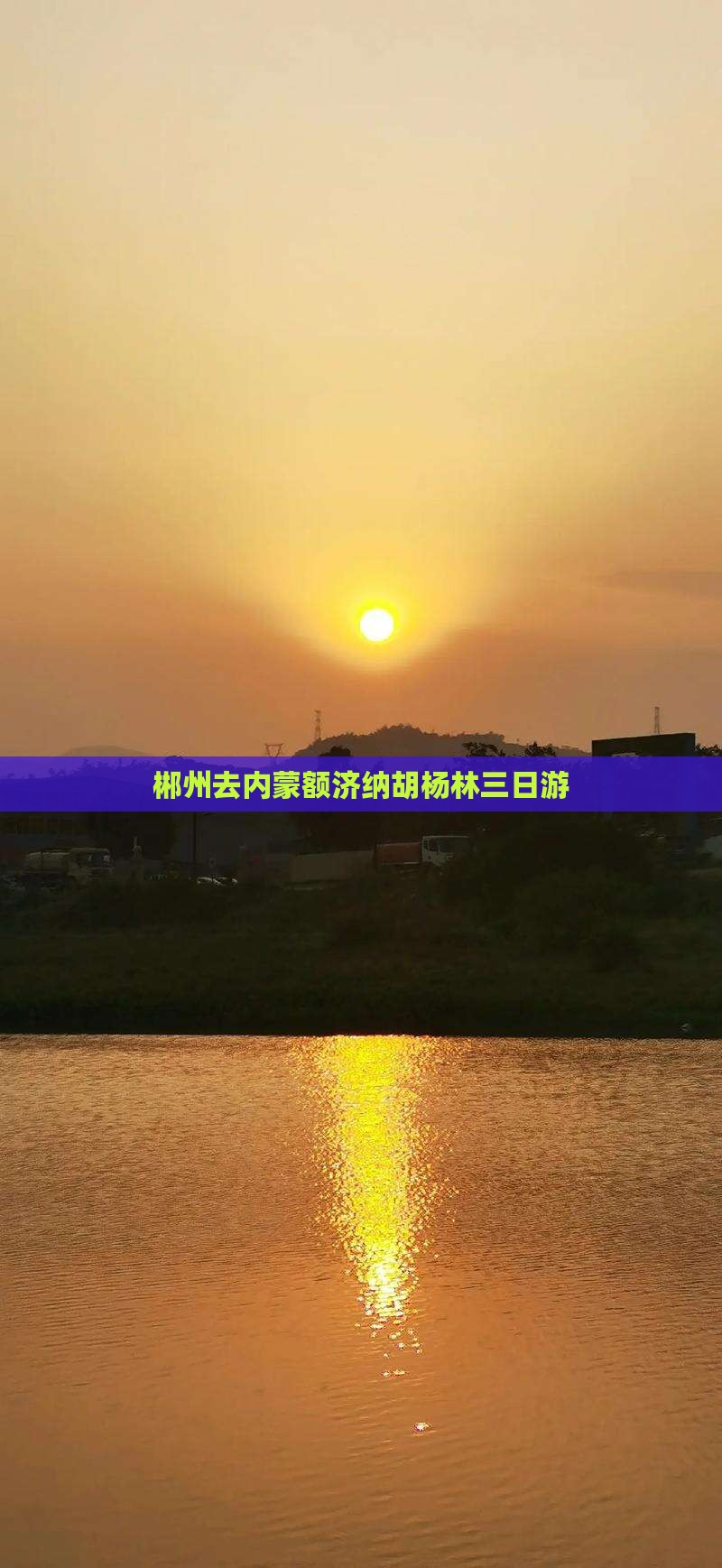 郴州去内蒙额济纳胡杨林三日游
