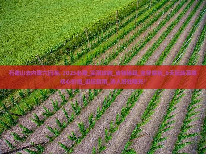 石嘴山去内蒙六日游
