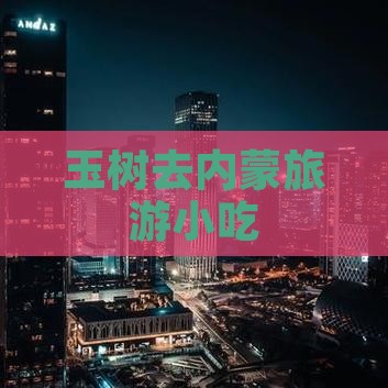 玉树去内蒙旅游小吃