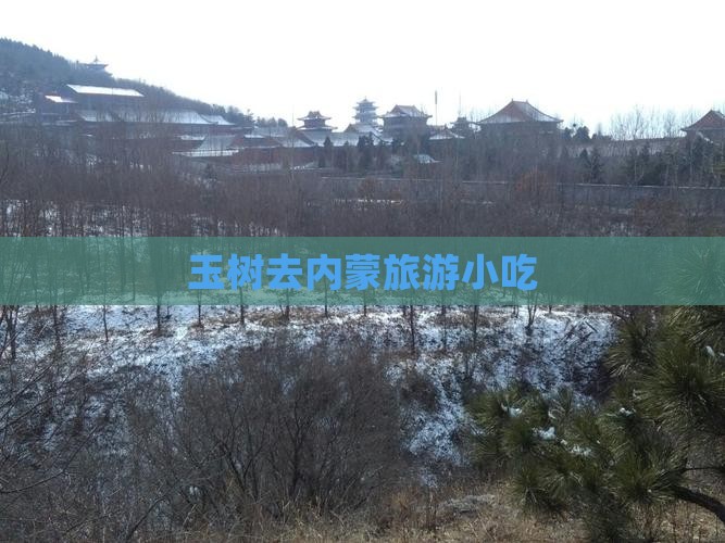 玉树去内蒙旅游小吃