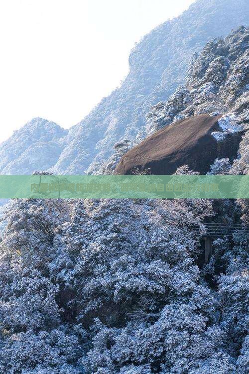 西双版纳去内蒙响沙湾自由团