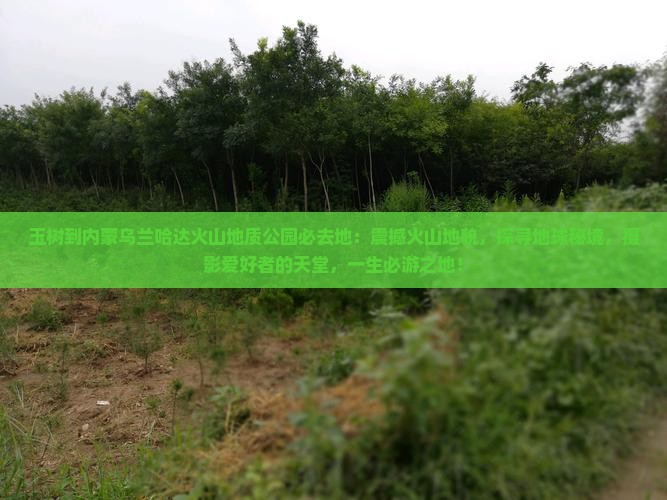 玉树到内蒙乌兰哈达火山地质公园必去地