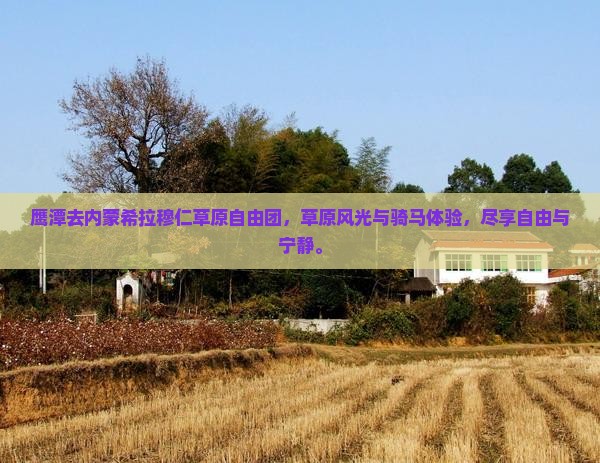 鹰潭去内蒙希拉穆仁草原自由团