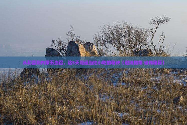 和县到内蒙五当召旅游小吃