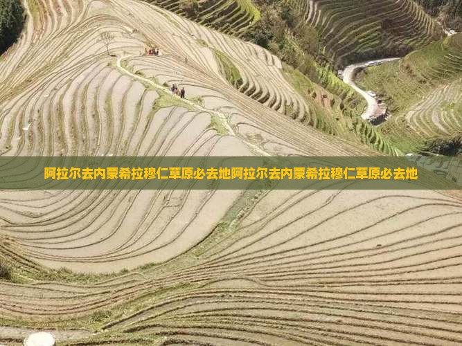 阿拉尔去内蒙希拉穆仁草原必去地