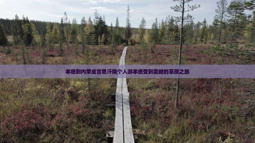 孝感到内蒙成吉思汗陵个人游
