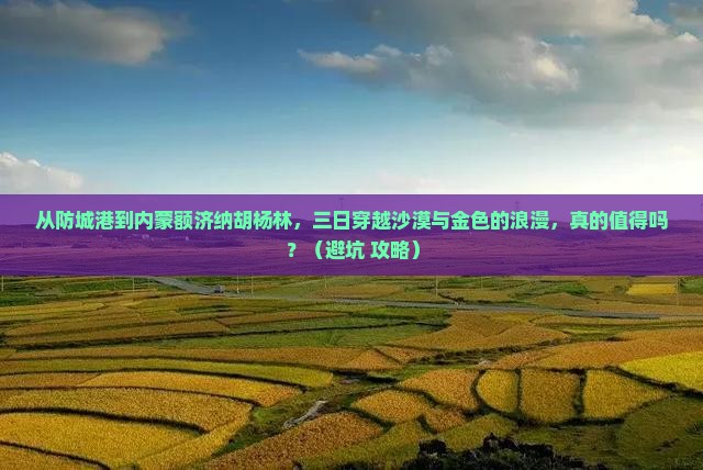 防城港到内蒙额济纳胡杨林三日游