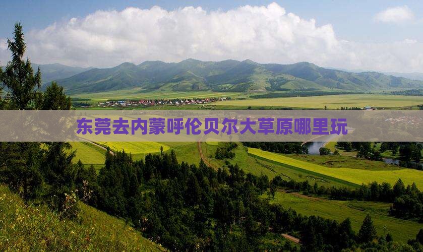 东莞去内蒙呼伦贝尔大草原哪里玩
