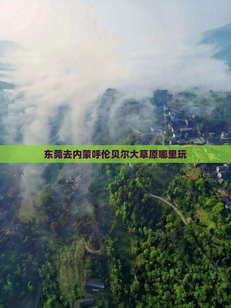 东莞去内蒙呼伦贝尔大草原哪里玩