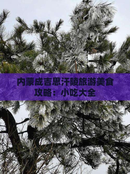 塔城到内蒙成吉思汗陵旅游小吃