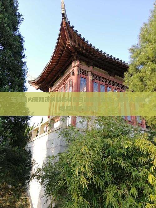玉溪到内蒙额济纳胡杨林四日游