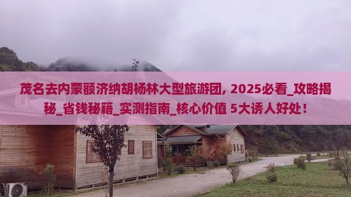 茂名去内蒙额济纳胡杨林大型旅游团