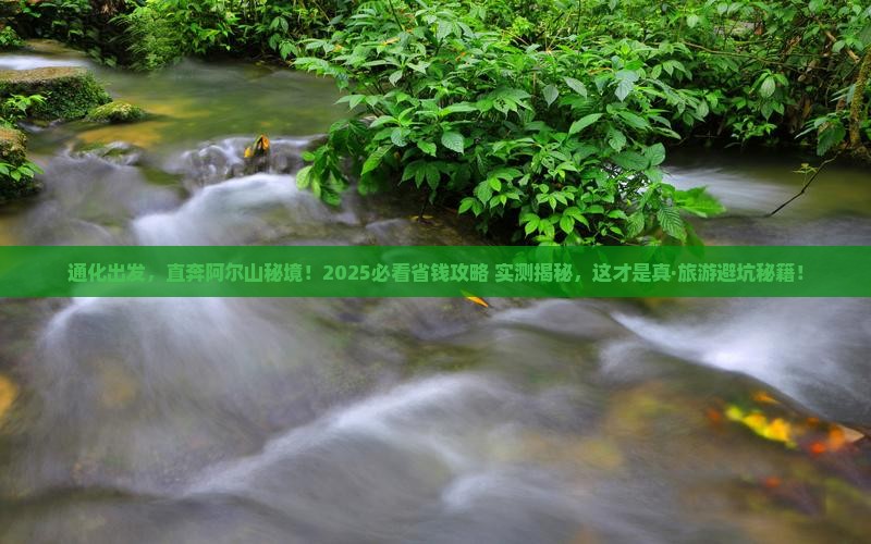 通化到内蒙阿尔山国家森林公园旅游