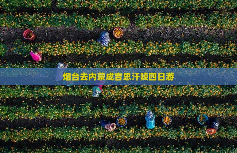 烟台去内蒙成吉思汗陵四日游