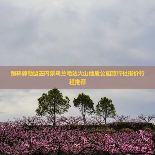 锡林郭勒盟去内蒙乌兰哈达火山地质公园旅行社