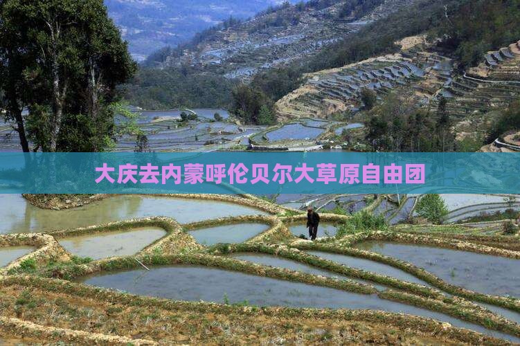 大庆去内蒙呼伦贝尔大草原自由团