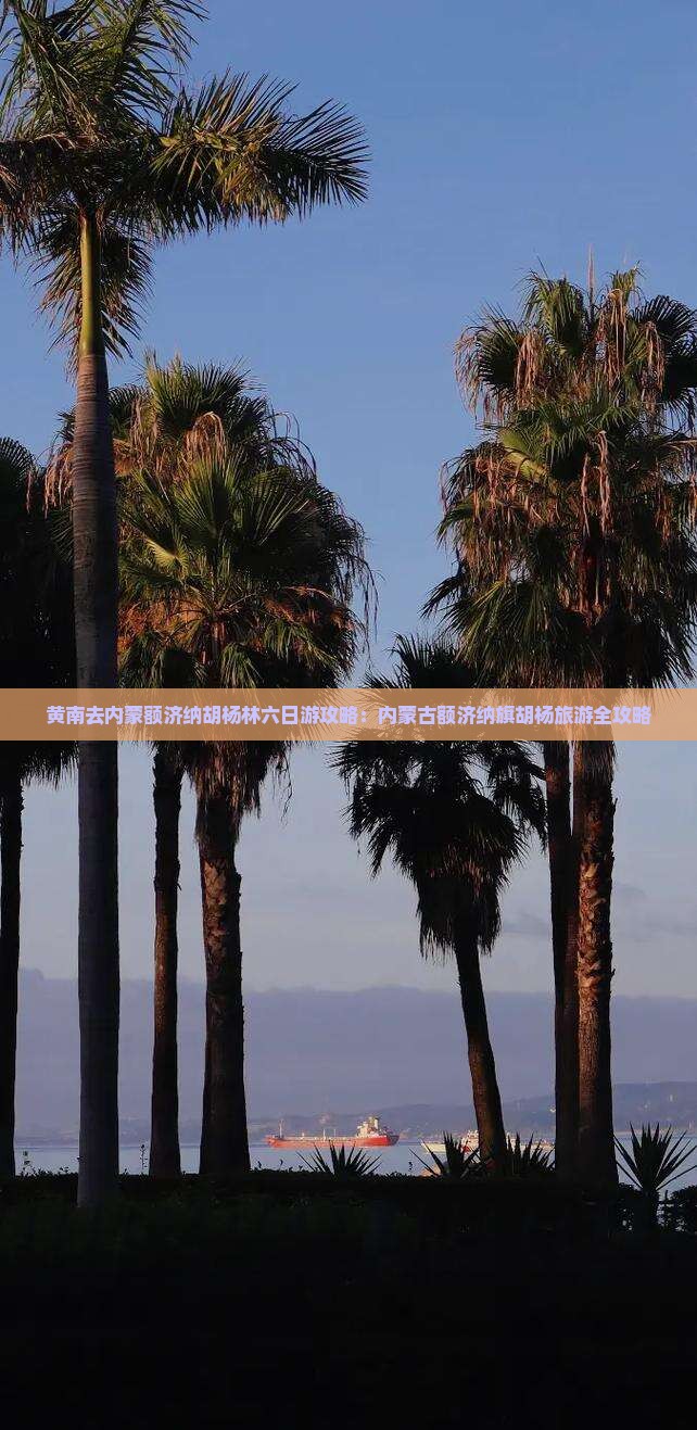 黄南去内蒙额济纳胡杨林六日游