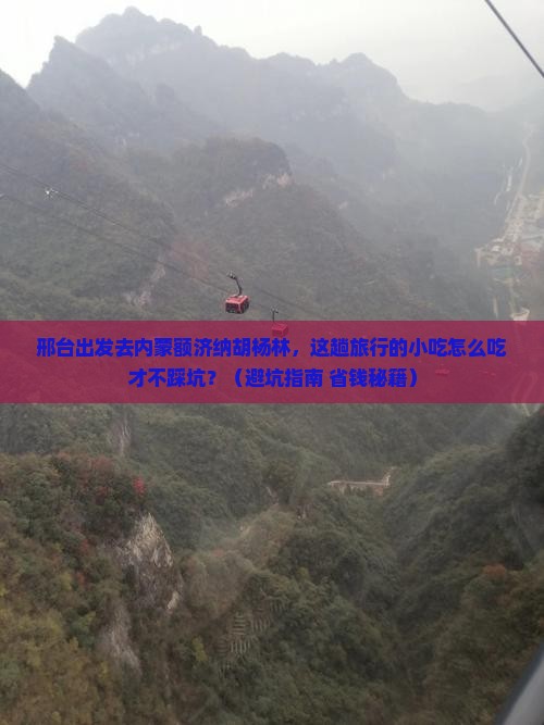 邢台去内蒙额济纳胡杨林旅游小吃