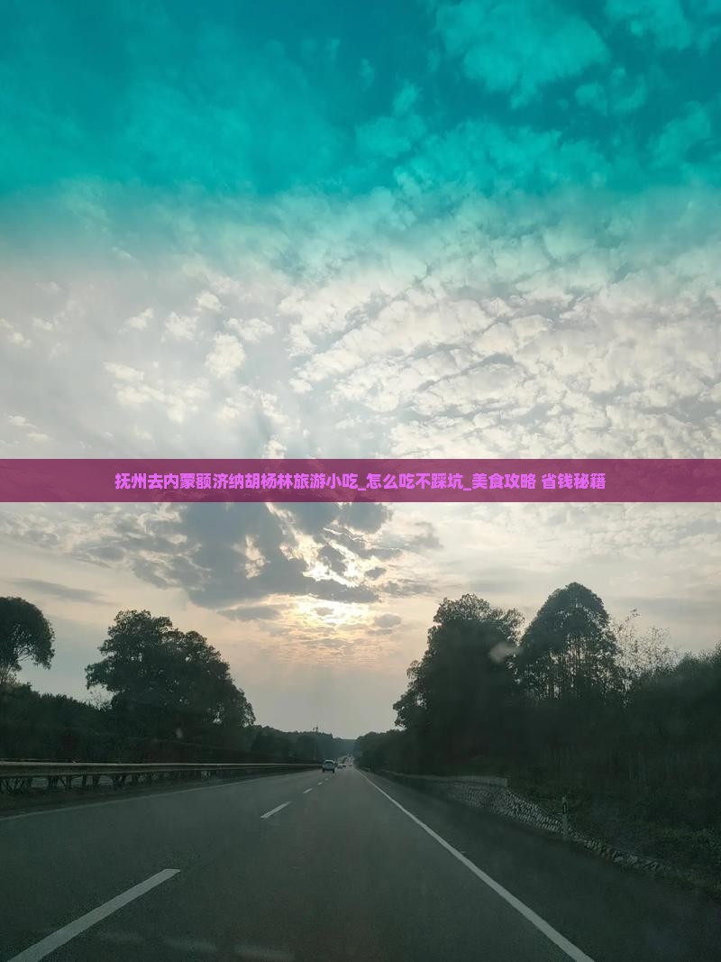 抚州去内蒙额济纳胡杨林旅游小吃