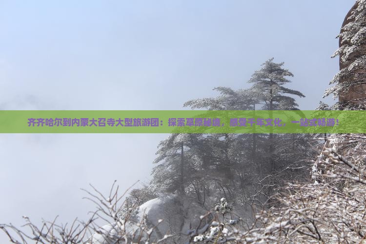 齐齐哈尔到内蒙大召寺大型旅游团