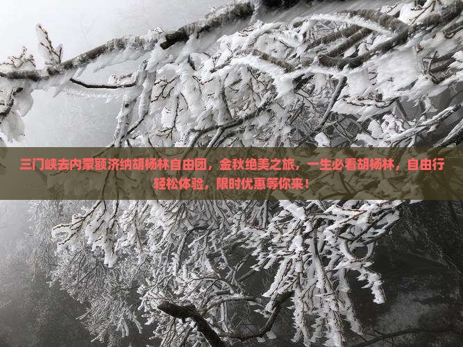 三门峡去内蒙额济纳胡杨林自由团