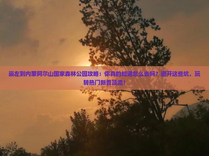 崇左到内蒙阿尔山国家森林公园攻略