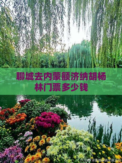 聊城去内蒙额济纳胡杨林门票