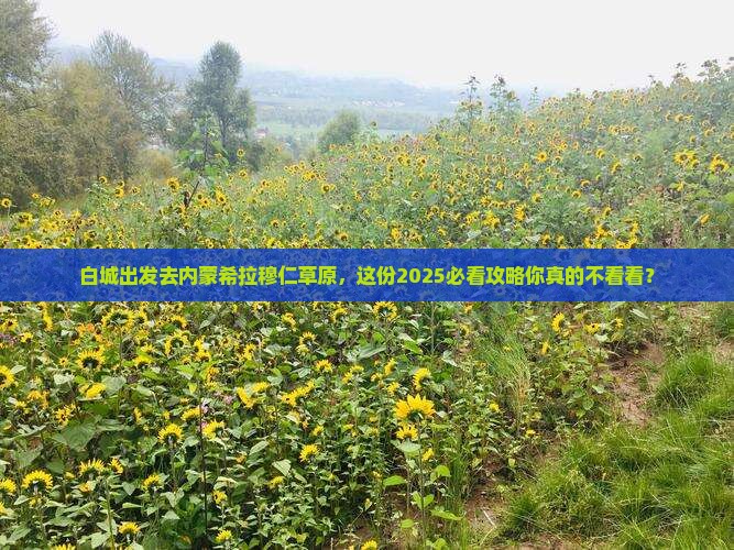 白城到内蒙希拉穆仁草原团体旅游