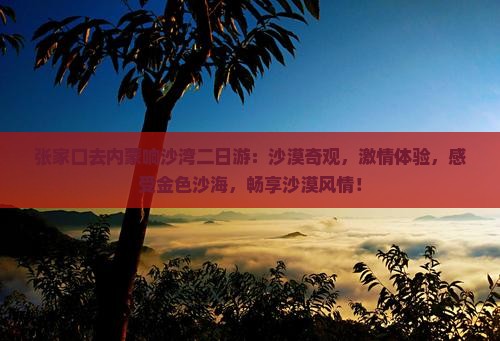 张家口去内蒙响沙湾二日游