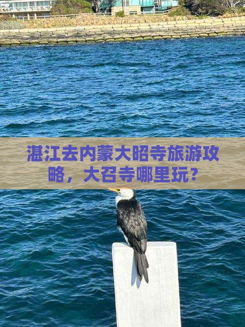 湛江去内蒙大召寺哪里玩