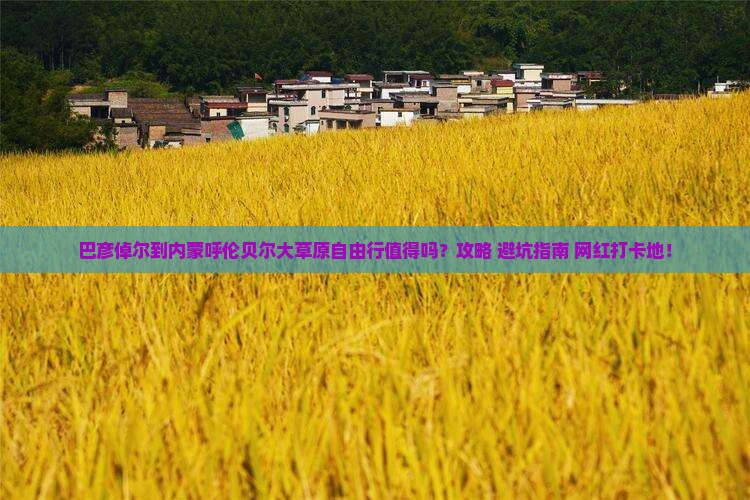 巴彦倬尔到内蒙呼伦贝尔大草原自由行