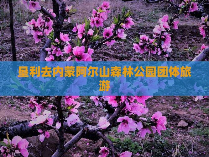 垦利去内蒙阿尔山国家森林公园团体旅游