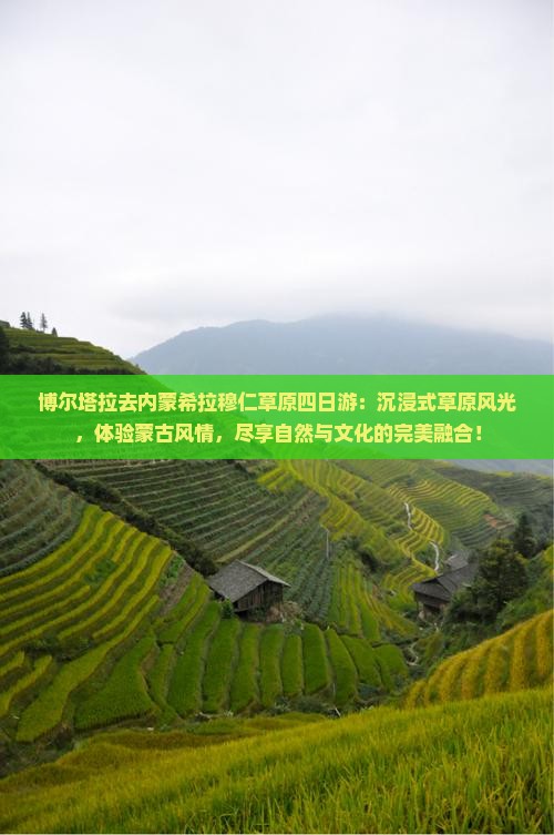 博尔塔拉去内蒙希拉穆仁草原四日游