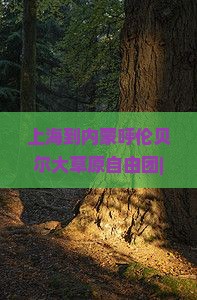 上海到内蒙呼伦贝尔大草原自由团