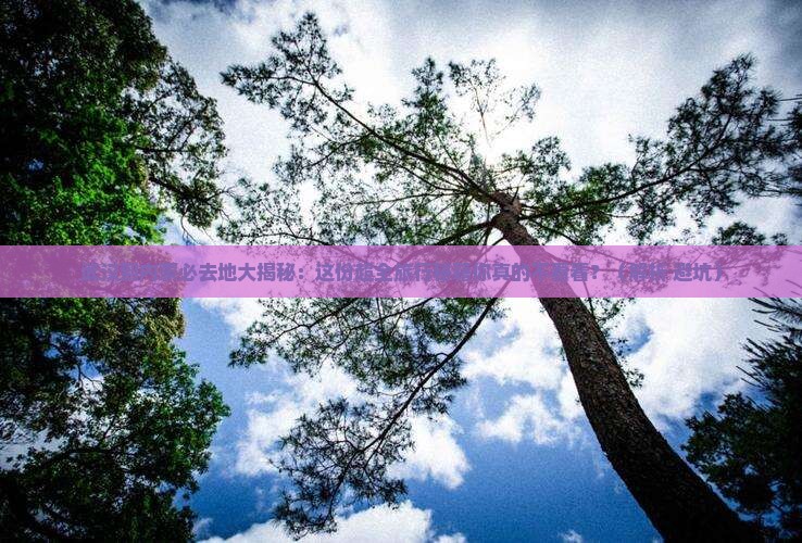 武汉到内蒙必去地