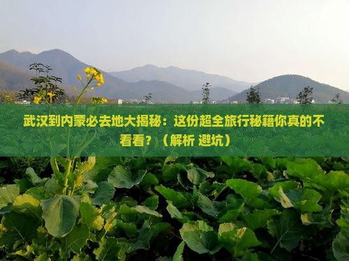 武汉到内蒙必去地