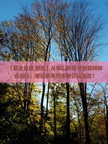 鞍山去内蒙额济纳胡杨林自由团