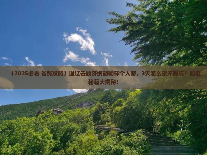 通辽到内蒙额济纳胡杨林个人游 通辽到内蒙额济纳胡杨林个人游