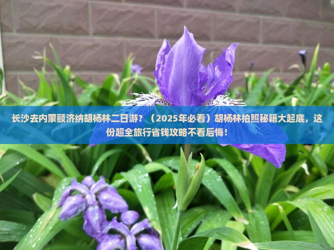 长沙去内蒙额济纳胡杨林二日游