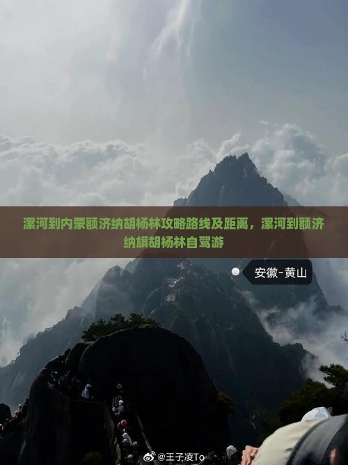 漯河到内蒙额济纳胡杨林攻略