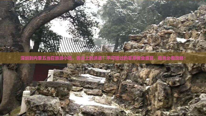 深圳到内蒙五当召旅游小吃