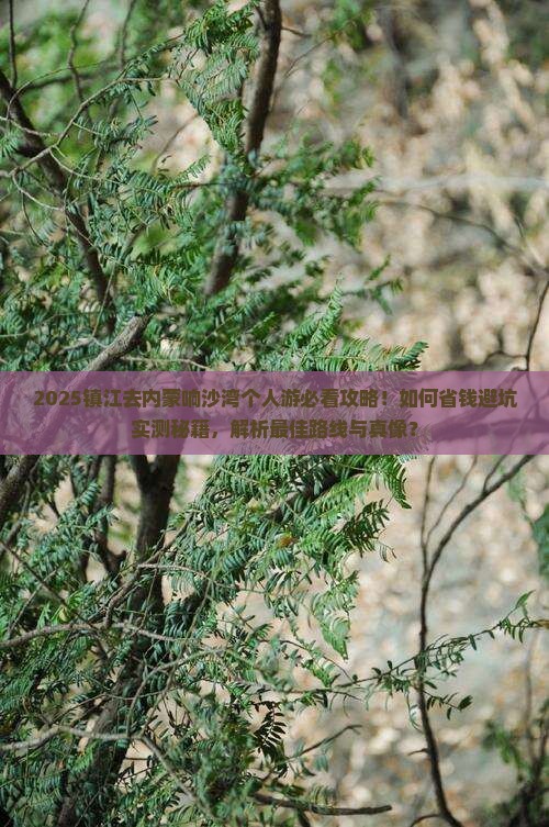 镇江去内蒙响沙湾个人游